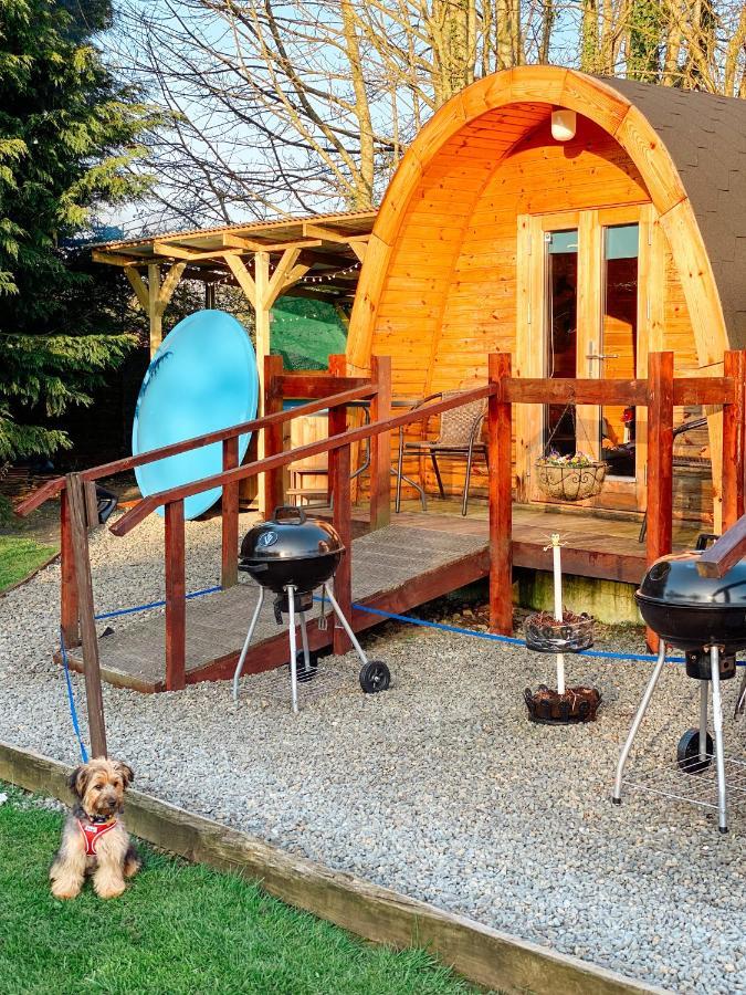 Log Cabin Kells  Bagian luar foto